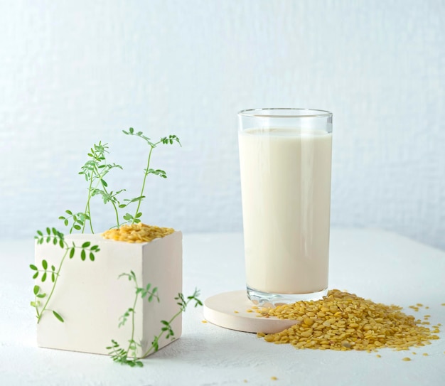 Plantbased milk nondairy products