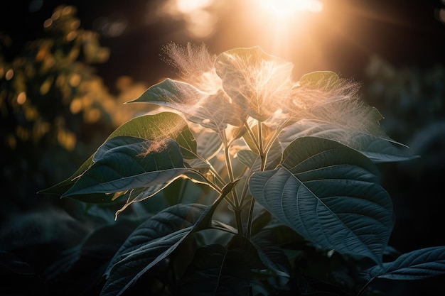 Plantbladexplosie bij zonsopgang met de zon die door de bladeren schijnt