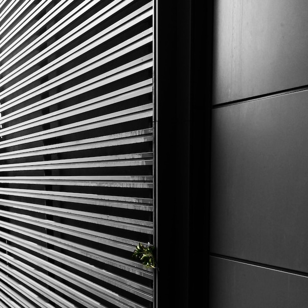 Planten die door een metalen muur groeien