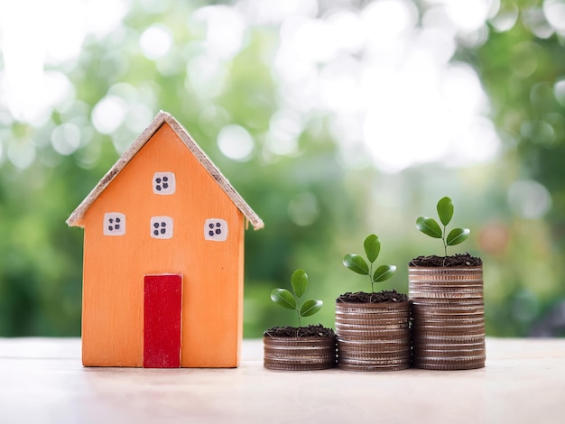 Foto planten die opgroeien op stapel munten en miniatuurhuis het concept van geld besparen voor huis vastgoedinvesteringen huishypotheek real estste