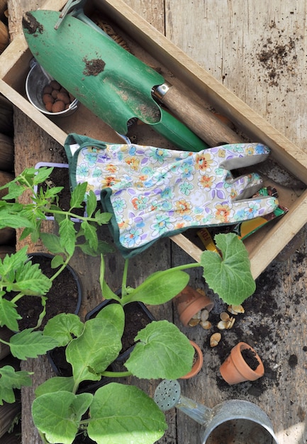 Planten en gereedschap