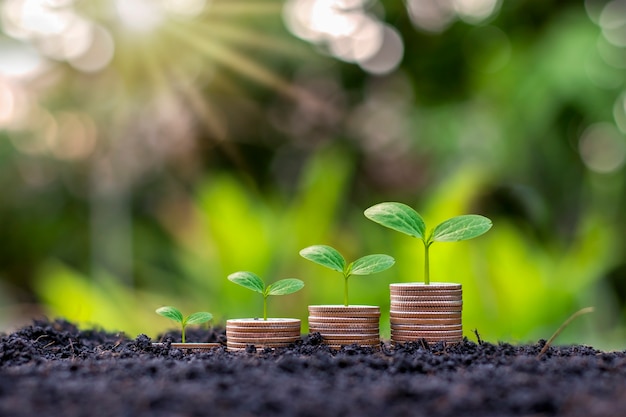 Planten geplant op een stapel munten