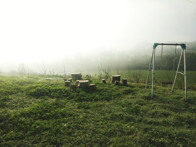 Foto planten groeien op het veld tegen de lucht