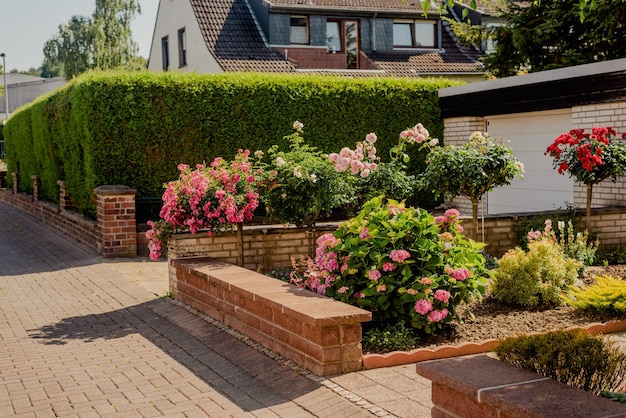 Planten in de tuin Bloeiende bloemen