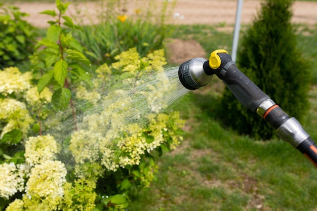 Planten in de tuin water geven met tuinslang en sproeier