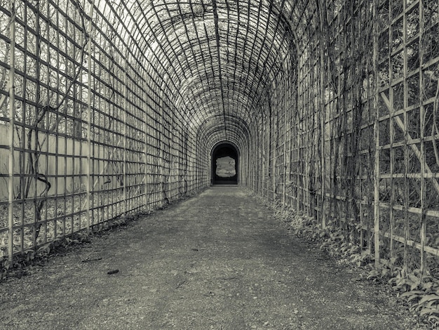 Planten in de tunnel