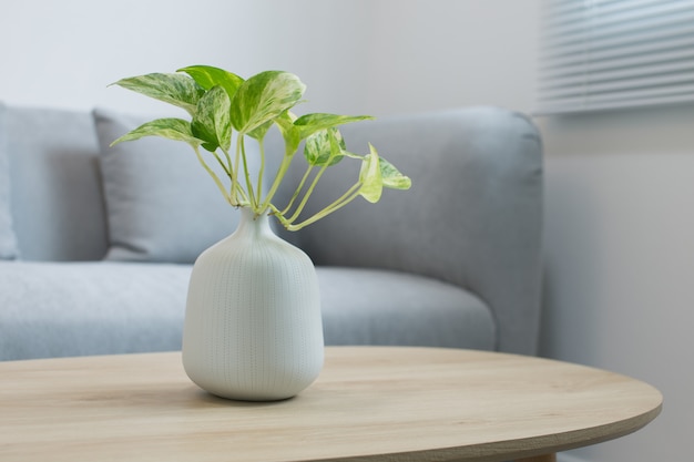 Planten in de witte vaas op een houten tafel