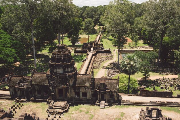 Planten in een tempel