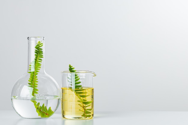 Planten in laboratoriumglaswerk op witte achtergrond. Huidverzorgingsproducten en medicijnen chemisch onderzoek concept