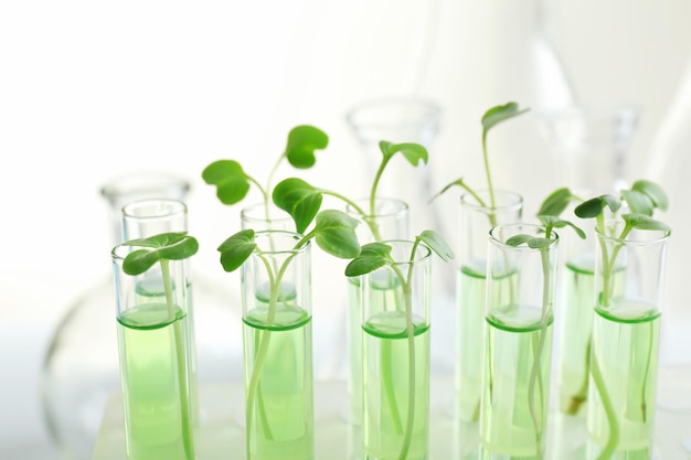 Planten in reageerbuizen op lichte achtergrond