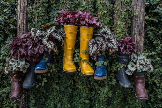 Foto planten in rubberen laarzen