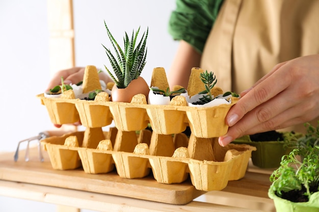 Planten kweken in eierdoos creatieve manier om planten te laten groeien