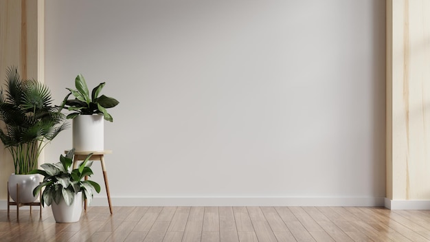 Foto planten op een houten vloer in lege witte kamer