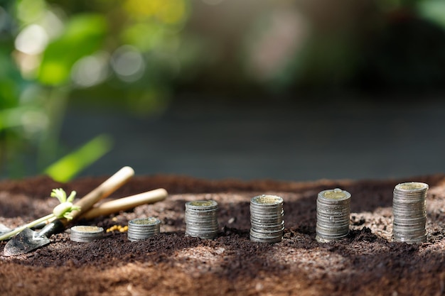 Foto planten op gestapelde munten met het financiële concept gebaseerd op het idee om geld te besparen en te groeien