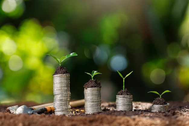 Foto planten op gestapelde munten met het financiële concept gebaseerd op het idee om geld te besparen en te groeien