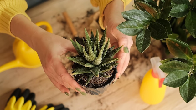 Planten overbrengen naar een andere potclose-up van een tuinman die een bloem in zijn hand houdt, een spruit in de