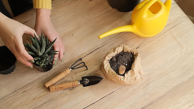 Planten overplanten in een andere pot, tuingereedschap ligt op een houten tafel, een schop