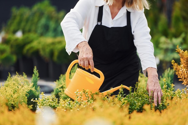 Planten water geven Senior vrouw is overdag in de tuin