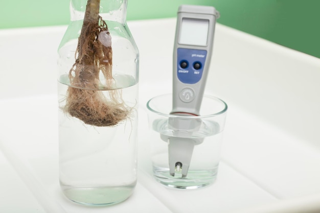 plantenwortels in een bak Ph-meter in een glazen bak met water meet de pH