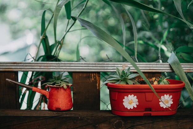 Photo planter on railing