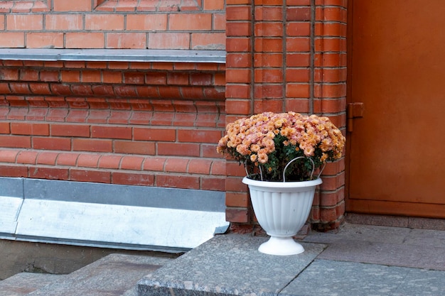 Foto planters met herfstbloeiende chrysanthemums op de veranda van het huis seizoensgebonden bloemen