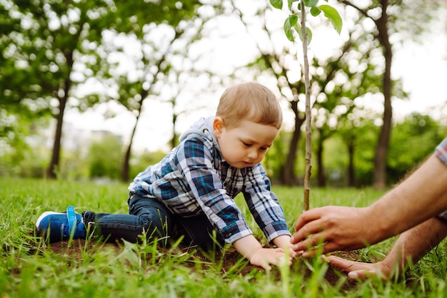 Planting family tree Little boy helping his grandfather to plant tree Fun little gardener