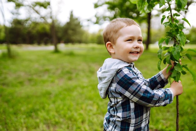 Planting a family tree Little boy helping his grandfather to plant the tree while working together