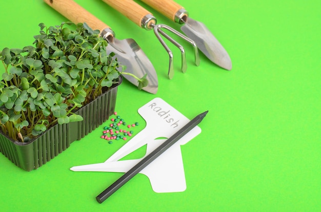 Foto piantare microgreens. confezione con semi di ravanello. attrezzi da giardino per piantare piante. foto di studio