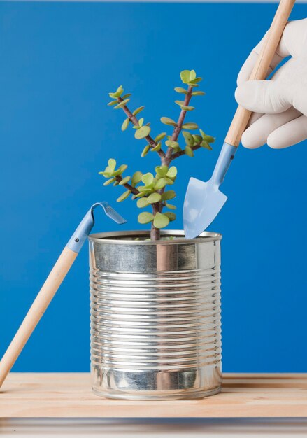 planting plant in recycled can with recycled glass container on wooden boards blue background