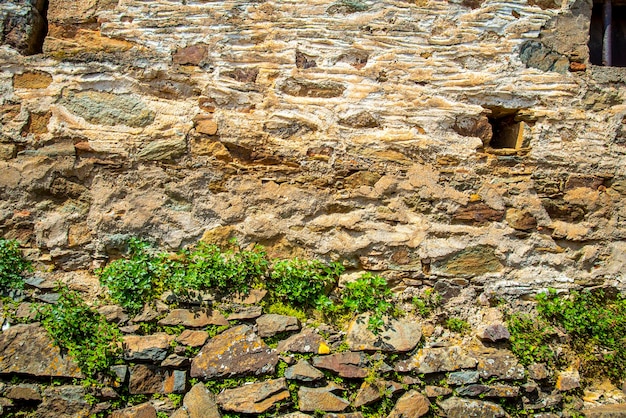 Planting plants in retaining walls Gardening in a dry stone wall