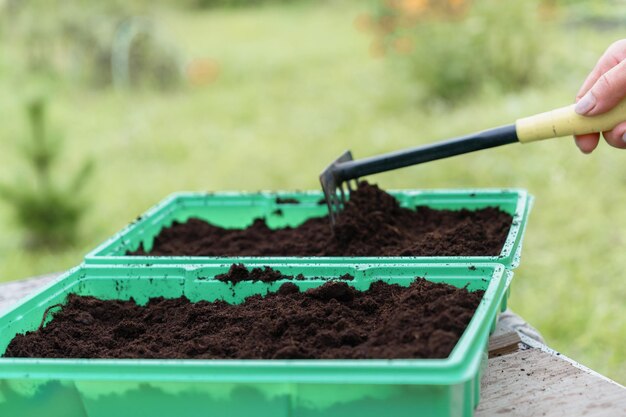 Planting seeds in plastic containers