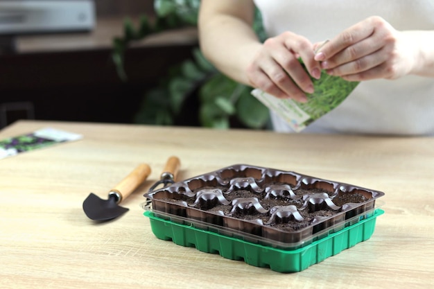 Planting seeds in spring Seeds in the hand against the soil A young gardener opens a package