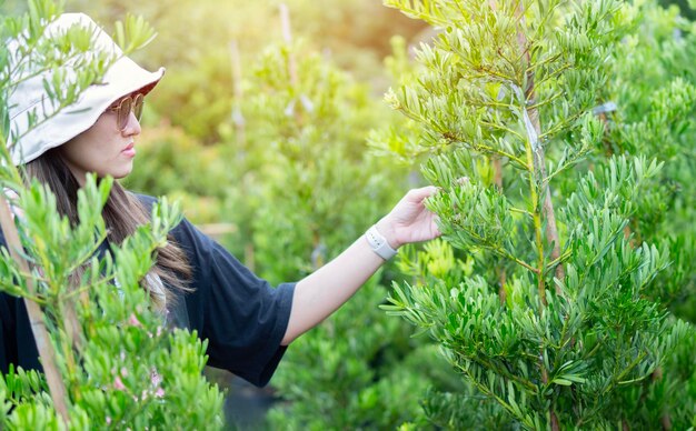 Planting and shopping Young woman chooses outdoor plants pine tree at store or garden center