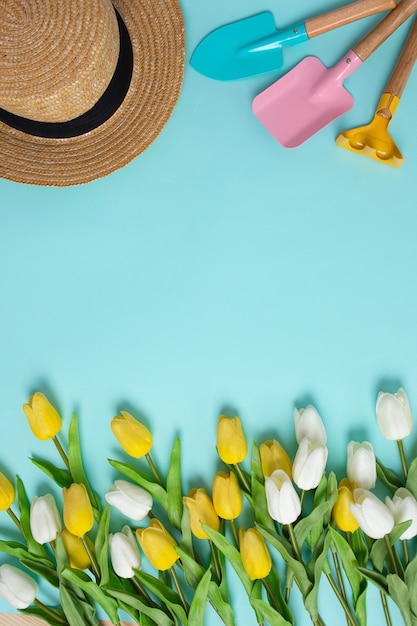 Planting spring flowers Gardening tools white yellow tulips copy space top view scoop blue background summertime concept