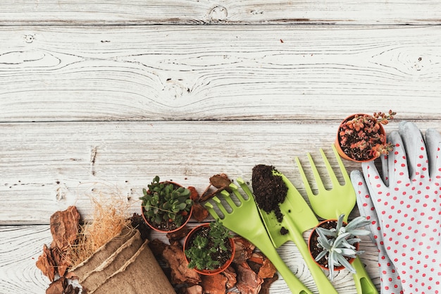 Planting Succulents in Pots with Japanese Soil and shovel