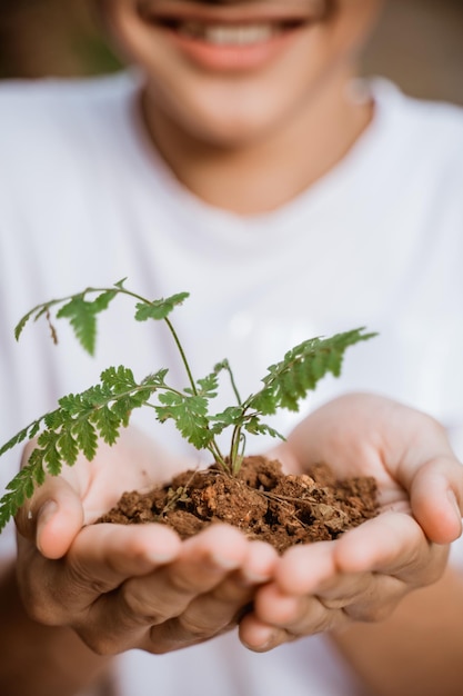 Planting tree for better environment sustainability