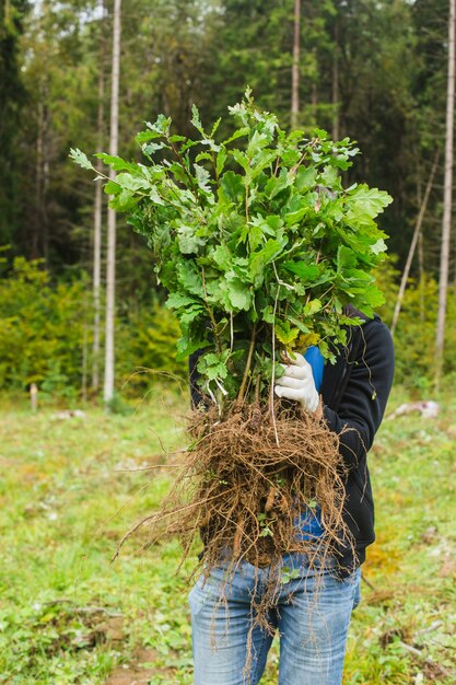 植樹のコンセプト若い男は、森に植える準備ができて手にオークを取ります高品質の写真