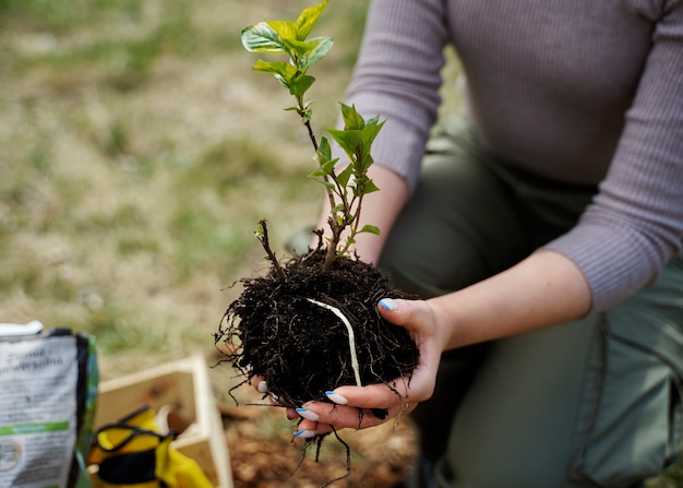 Photo planting trees as part of reforestation process