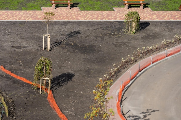 Planting trees in autumn in the city park. Using stake to help it grow.