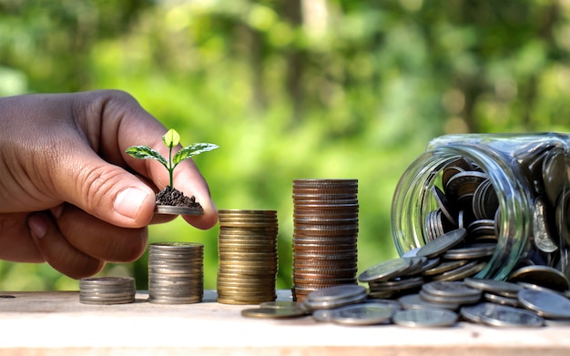 Planting trees on coins beside bottles of money on nature