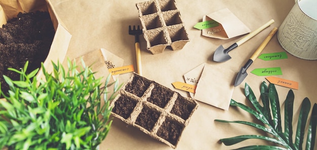 Planting vegetables in the home garden home gardening hobbies\
and agricultural life during the lockdown the concept of ecological\
and plant economy flat lay top view selective focus