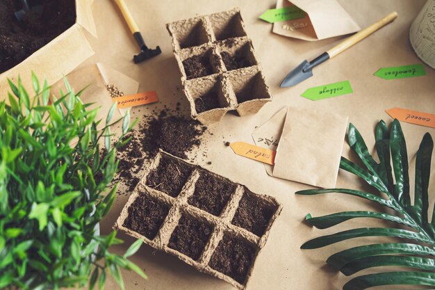 Planting vegetables in the home garden Home gardening hobbies and agricultural life during the lockdown The concept of ecological and plant economy Flat lay top view Selective focus