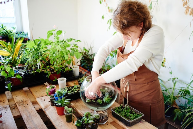 Plantkunde. Vrouw bloemist kweekt kamerplanten en bloemen. Maak een mini-terrarium