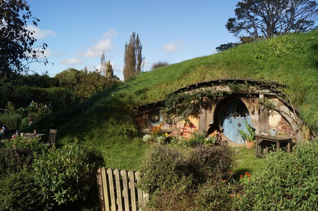 写真 天空を背景に畑の植物と木々