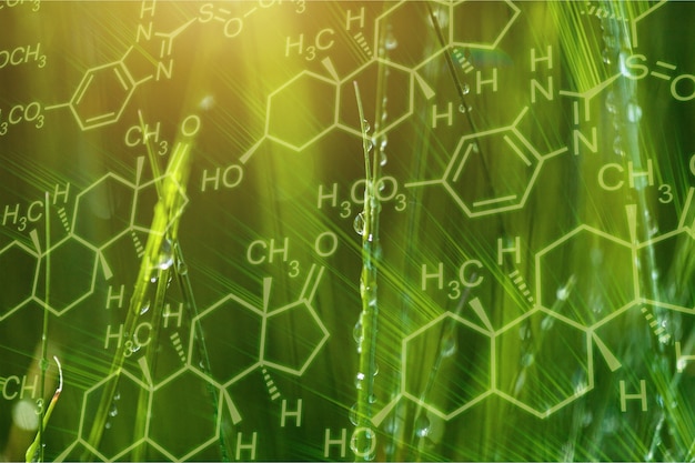 Фото Фон растений со структурой биохимии. утренняя роса на листе травы.