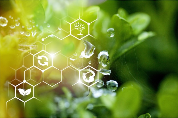plants background with biochemistry structure.