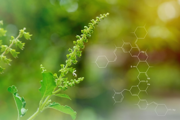 生化学構造を持つ植物の背景ぼやけた穏やかな自然の背景のスマート仮想画面インターフェース持続可能なエネルギー