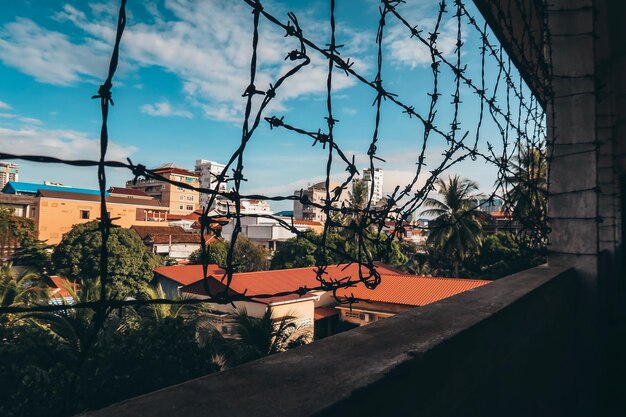 Foto piante e edifici contro il cielo