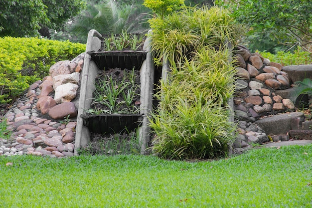 庭を飾るための植物。