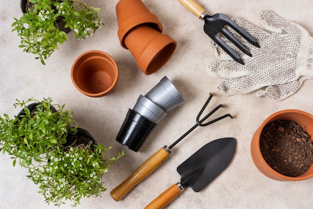 Plants gardening tools close up top view